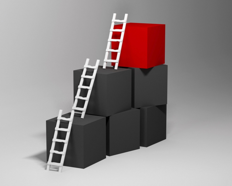 Cubes with ladders